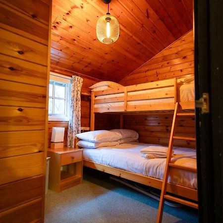 Cozy Norwegian Style Log Cabin In Rural Snowdonia - 2 Bedrooms & Parking By Seren Short Stays Ffestiniog 外观 照片