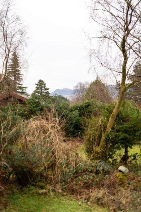 Cozy Norwegian Style Log Cabin In Rural Snowdonia - 2 Bedrooms & Parking By Seren Short Stays Ffestiniog 外观 照片