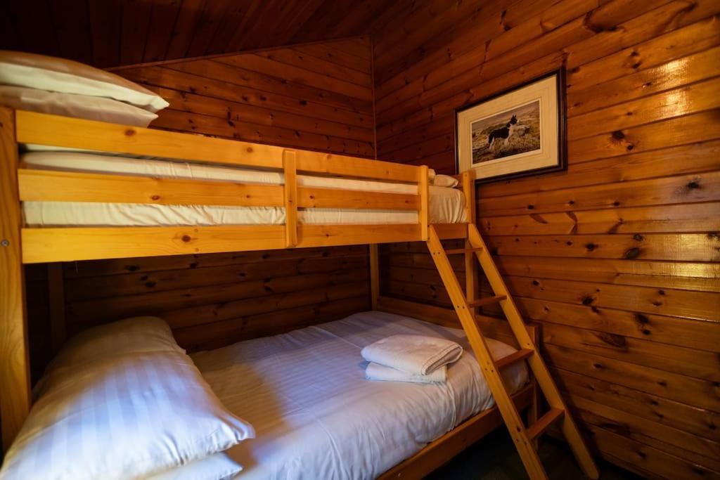 Cozy Norwegian Style Log Cabin In Rural Snowdonia - 2 Bedrooms & Parking By Seren Short Stays Ffestiniog 外观 照片